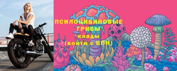 соль курить ск Алзамай