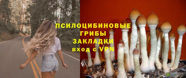 соль курить ск Алзамай