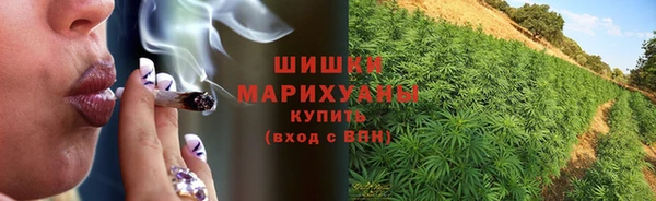 прущий лед Абаза